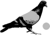 Pigeons Playing Ping Pong logo