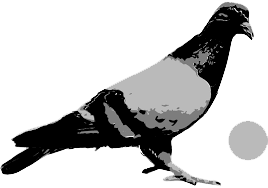 Pigeons Playing Ping Pong