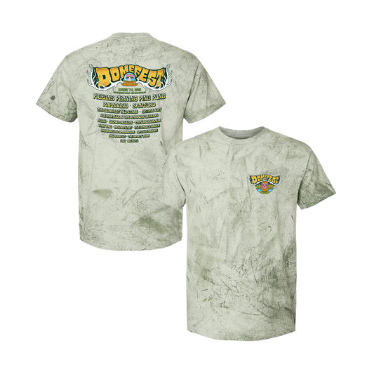 Domefest 2025 Tee