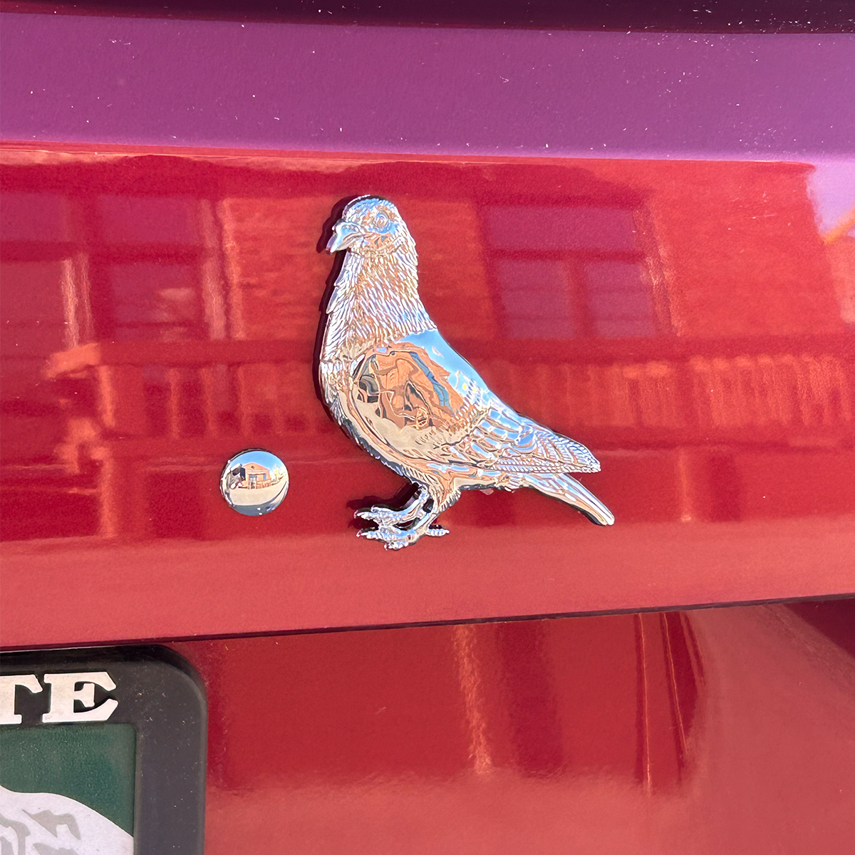 Grateful Fred Pigeon Ball Car Badge